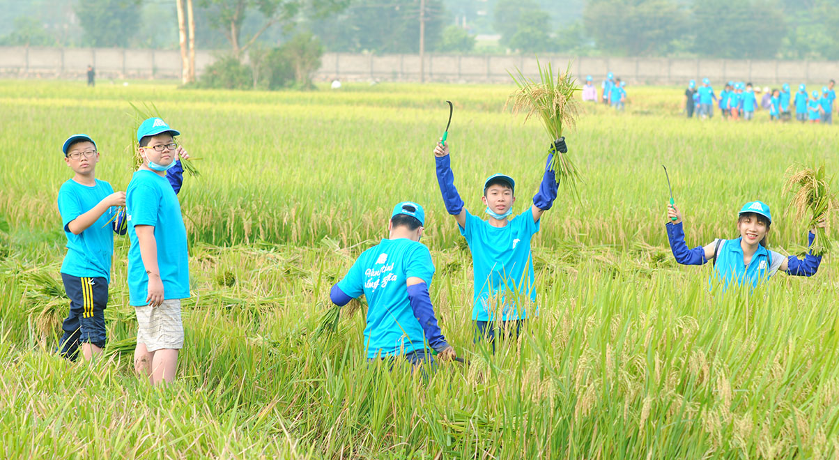 Khoảnh khắc hè 4