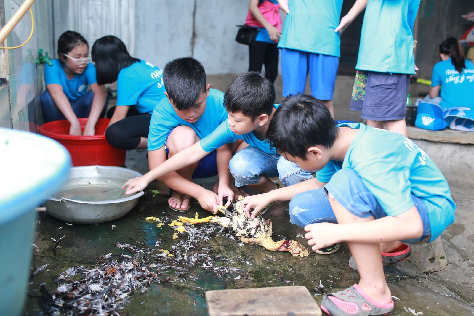 KHoảng khắc hè